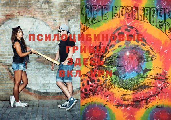 марки nbome Алзамай