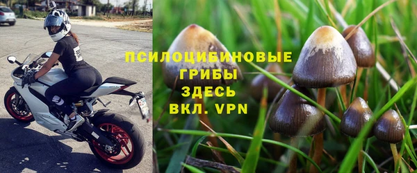 МДПВ Алексин