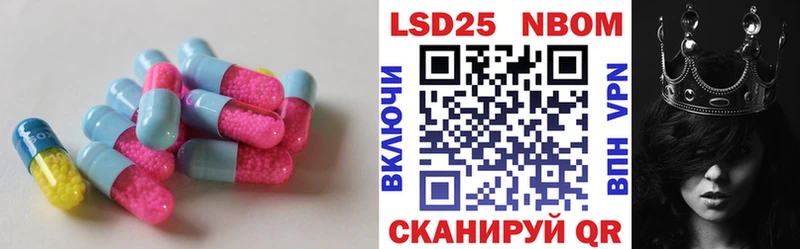 купить закладку  Новошахтинск  Лсд 25 экстази кислота 